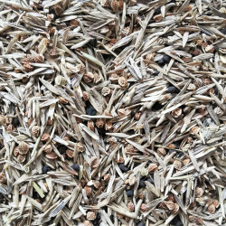 Mélange de graines de fleurs sauvages pour prairie sèche - Semences du Puy