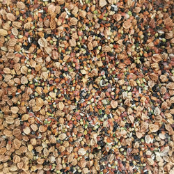 Mélange de graines de fleurs sauvages pour rocaille - Semences du Puy