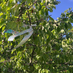 Visual repuls - Affolant visuel pour oiseaux Nortene® par Semences du Puy