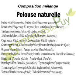 Composition du mélange Pelouse naturelle 100% graines - Semences du Puy