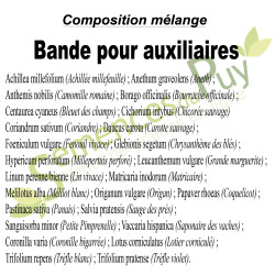 Composition 100% graines du mélange bande pour auxiliaires - Semences du Puy