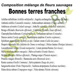Composition 100% graines du mélange de fleurs sauvages Bonnes terres franches - Semences du Puy Composition 100% graines du mélange de fleurs sauvages Bonnes terres franches - Semences du Puy
