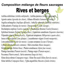 Composition du mélange 100% graines du mélange de fleurs sauvages rives et berges - Semences du Puy