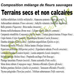Composition 100% graines de fleurs sauvages du mélange Terrains secs et non calcaires - Semences du Puy