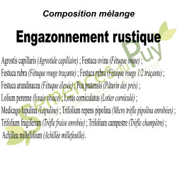 Composition 100% graines du mélange engazonnement rustique - Semences du Puy Composition 100% graines du mélange engazonnement rustique - Semences du Puy