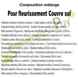 Composition 100% graines du mélange pour fleurissement Couvre sol - Semences du Puy Composition 100% graines du mélange pour fleurissement Couvre sol - Semences du Puy