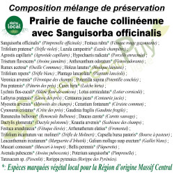 Composition mélange de préservation prairie de fauche collinéenne avec Sanguisorba officinalis - Semences du Puy