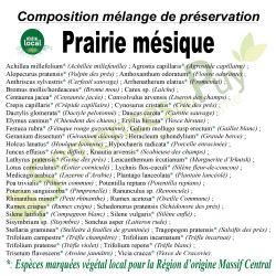 Composition mélange de préservation Prairie mésique - Végétal local - Semences du Puy